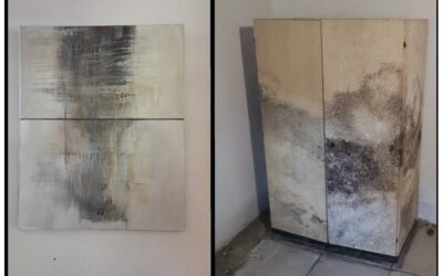 Schimmel Farben wie Kunstgemälde