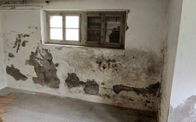 Anzeichen feuchter Keller: 12 Warnsignale, die du nicht ignorieren darfst