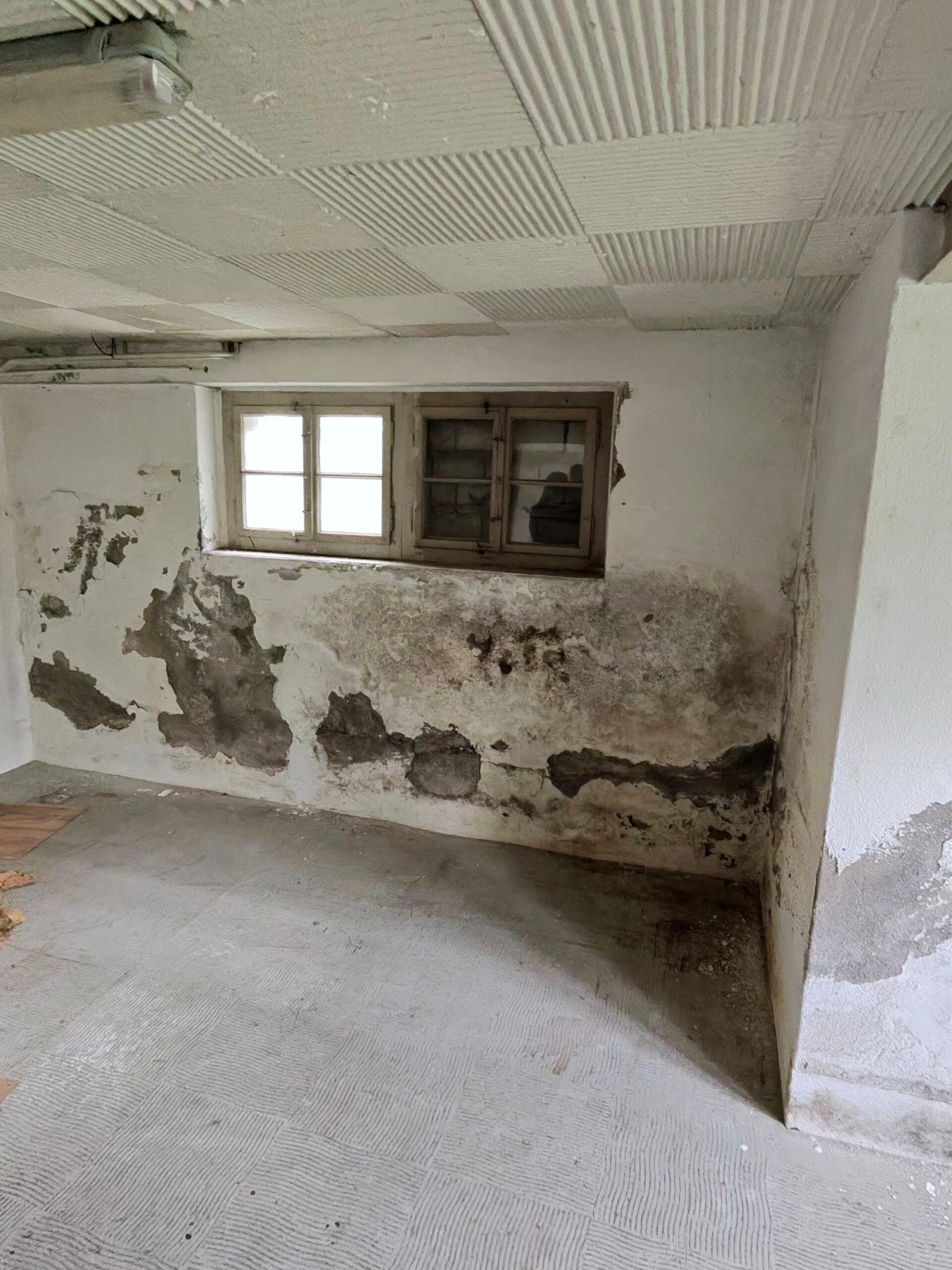 Anzeichen feuchter Keller: Anzeichen feuchter Keller: