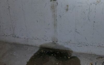 Drückendes Wasser im Keller: Was tun bei Hochwasser-Gefahr und Grundwasser?