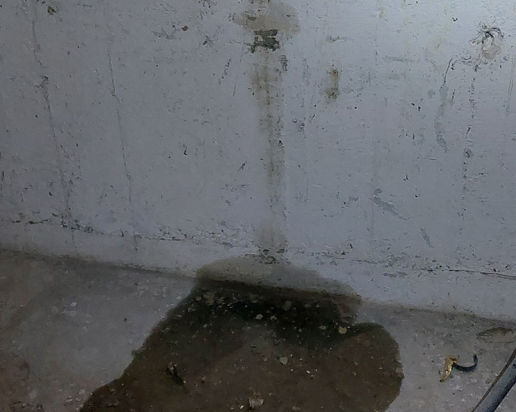 Drückendes Wasser im Keller