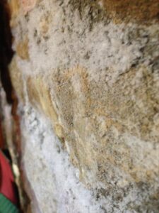 Salze im Keller, helle beige, Harte, feste Krusten