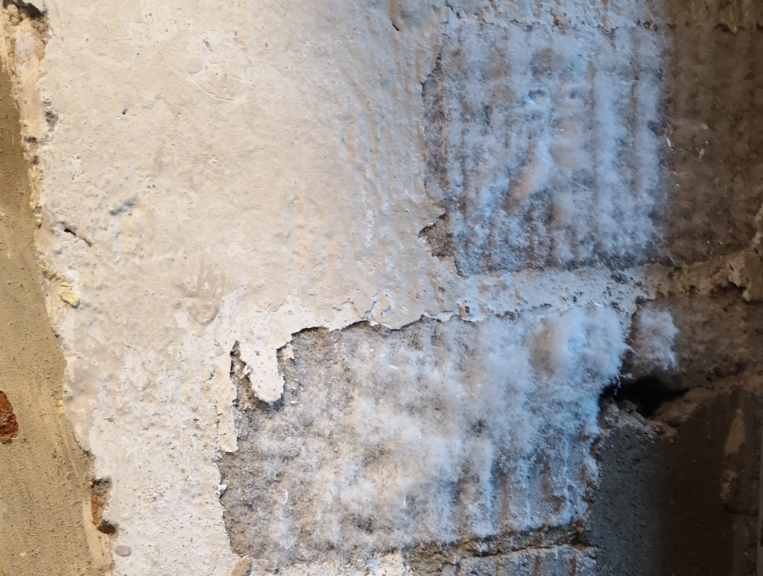 Salzausblühungen im Keller