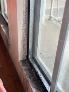 Schwarzer Schimmel am Fenster, die bekannteste Schimmel Farbe