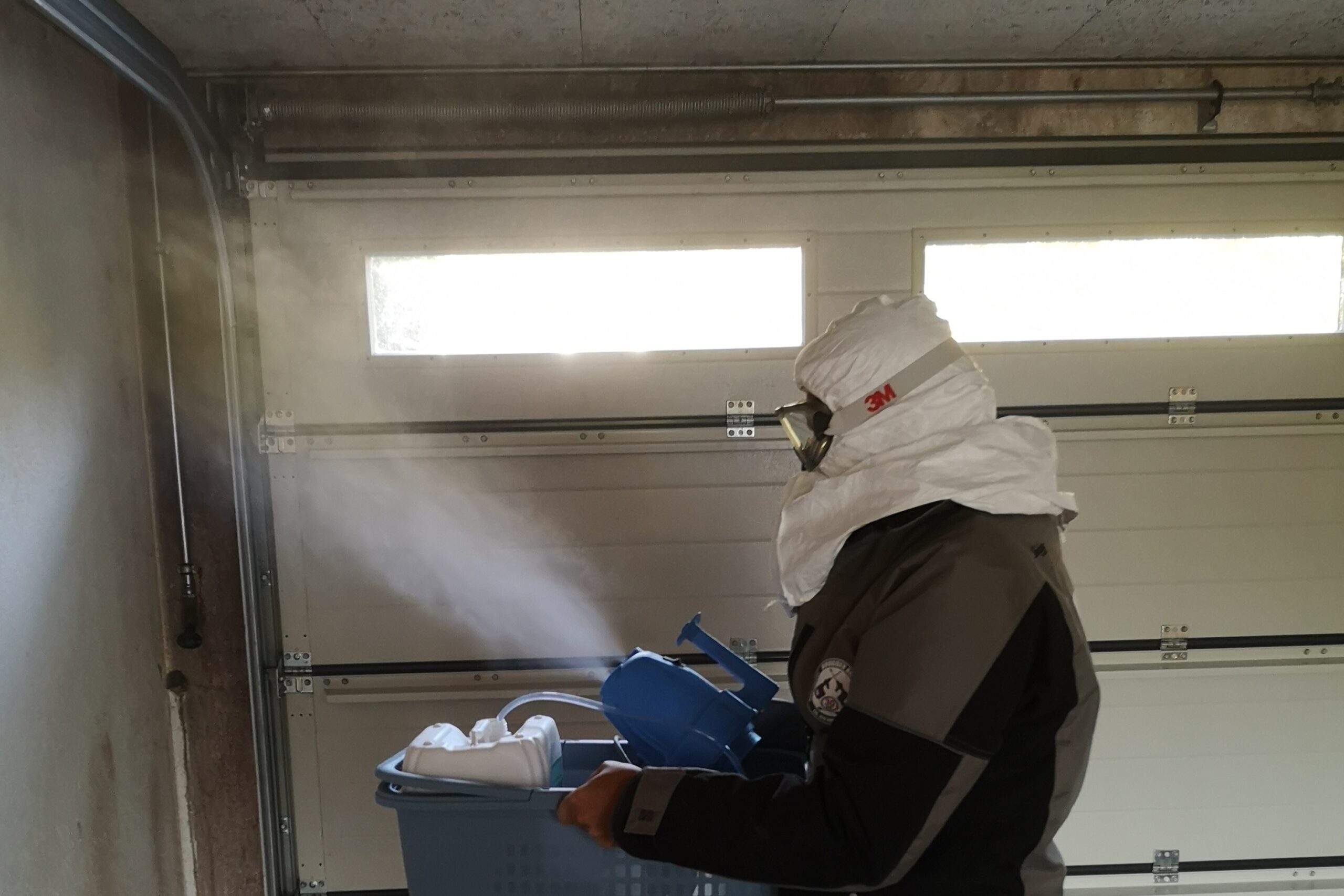 Schimmel bekämpfen mit Schimmelreset Schimmel bekämpfen mit Schimmelreset