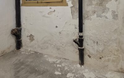 Putz bröckelt Kellerwand: 5 Anzeichen & was du jetzt tun musst