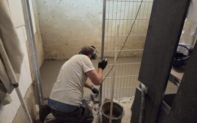 Betonboden Altbau sanieren: 5 Schritte für einen trockenen und stabilen Untergrund
