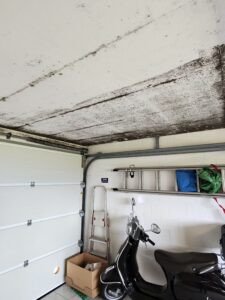 Durch Feuchtigkeit in der Betongarage entsteht Schimmel