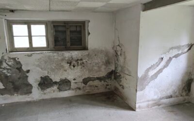Bautenschutz Gutachten Experte: 7 Gründe, warum du einen brauchst