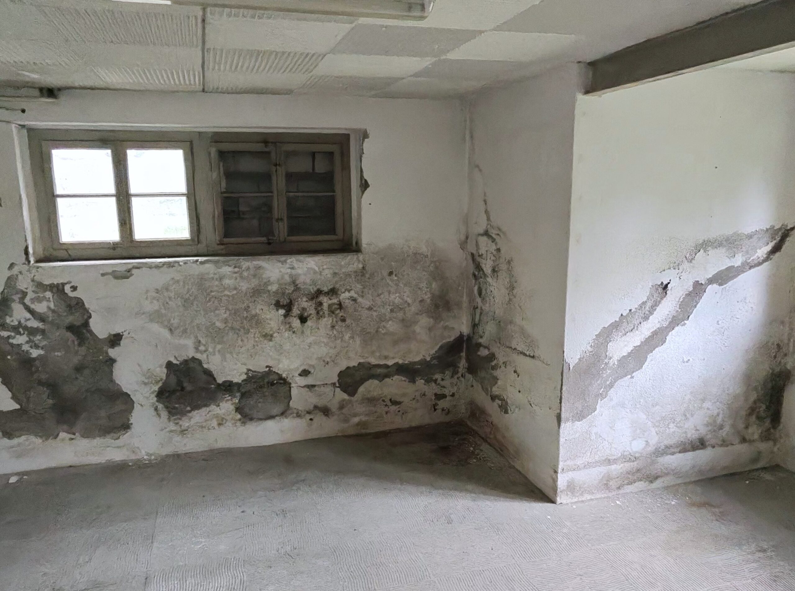 Bautenschutz Gutachten Experte