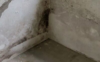 Feuchte Ecke Keller punktuelle Sanierung: 5 Schritte zur Trockenheit