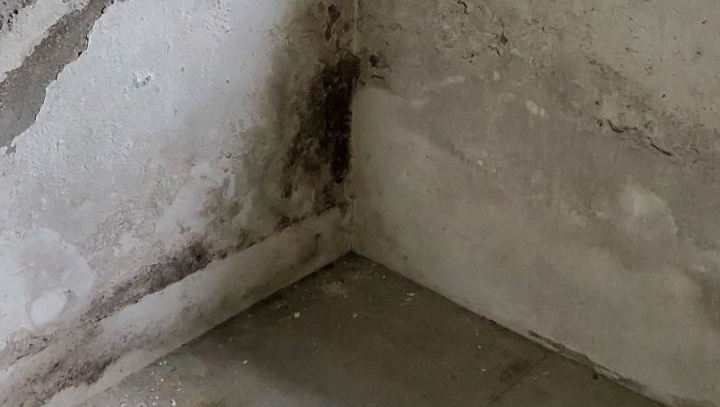 Feuchte Ecke Keller punktuelle Sanierung ist möglich