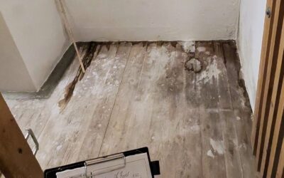 Hauskauf Checkliste Keller: 7 Punkte für eine sichere Entscheidung