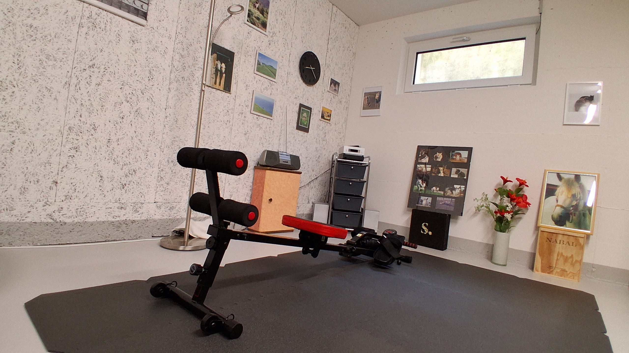 Keller umnutzen Fitnessraum
