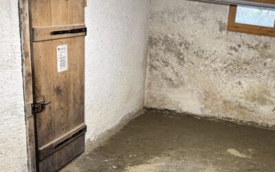 Kellertür abdichten: 7 Schritte für mehr Energieeffizienz & Schutz